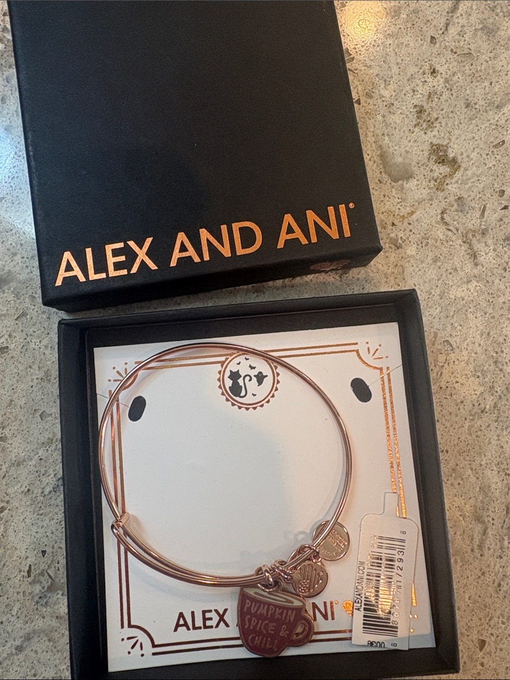 Alex and Ani Rose Gold Tone Pumpkin Spice Charm Bangle
